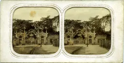 MAG4531.jpg