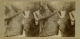 MAG4722.jpg