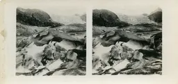 MAG4745.jpg