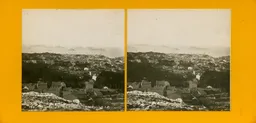 MAG4754.jpg