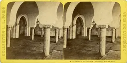 MAG4817.jpg
