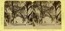 MAG4819.jpg