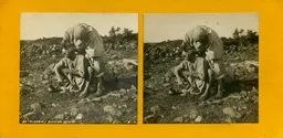 MAG4842.jpg