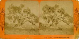 MAG4870.jpg