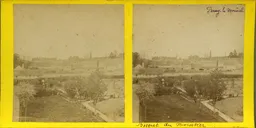 MAG5138.jpg