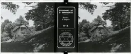 MAG5229.jpg