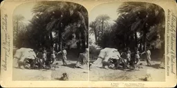 MAG5268.jpg