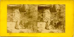 MAG5335.jpg