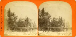 MAG5382.jpg