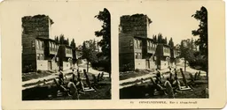 MAG5411.jpg