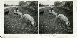 MAG5422.jpg