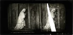 MAG5425.jpg
