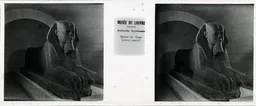 MAG5460.jpg