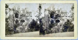 MAG5538.jpg