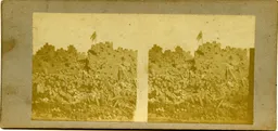 MAG5550.jpg