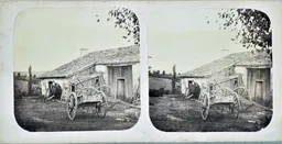 MAG5617.jpg