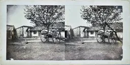 MAG5618.jpg