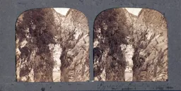 Mag6247.JPG