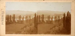 Mag6319.JPG